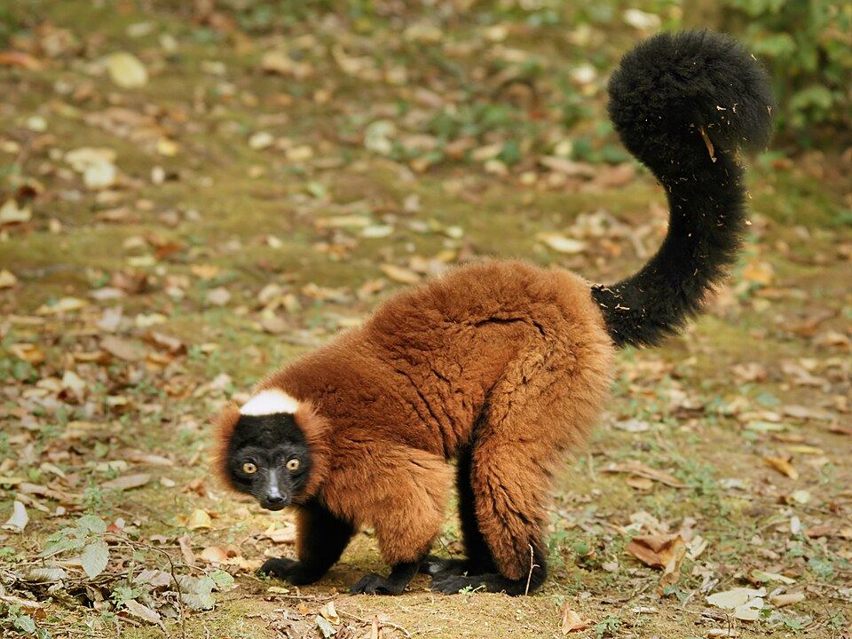 Masoala National Park